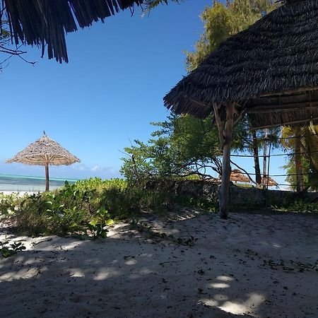 Twisted Palms Lodge & Restaurant Bwejuu Kültér fotó