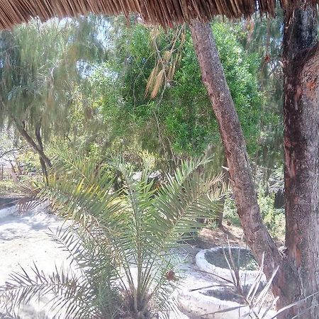 Twisted Palms Lodge & Restaurant Bwejuu Kültér fotó