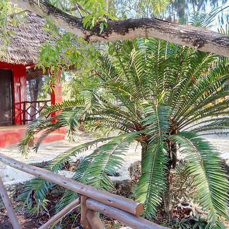 Twisted Palms Lodge & Restaurant Bwejuu Kültér fotó