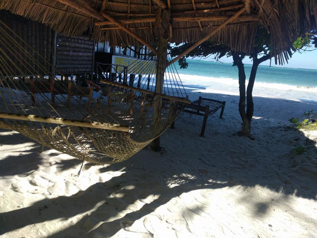 Twisted Palms Lodge & Restaurant Bwejuu Kültér fotó
