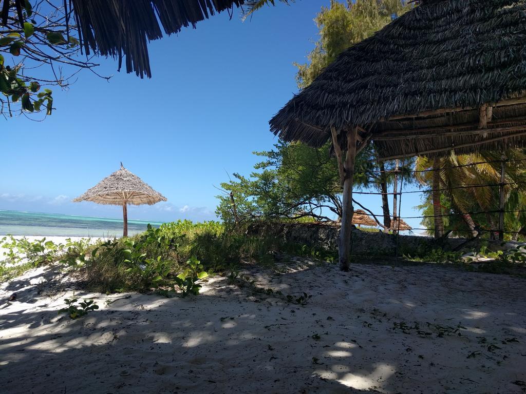 Twisted Palms Lodge & Restaurant Bwejuu Kültér fotó