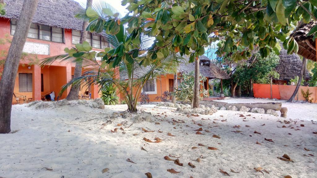 Twisted Palms Lodge & Restaurant Bwejuu Kültér fotó